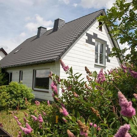 Ferienhaus Grenzweg Winterberg Exterior photo